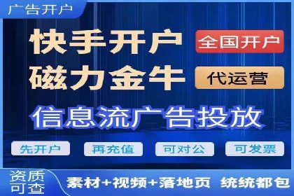 成功运用SEM技术提升网站流量的案例研究