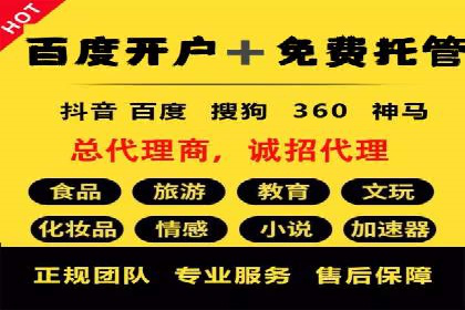 专业SEM代运营公司案例分析